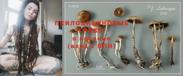 Альфа ПВП Беломорск