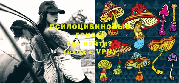 крисы Белокуриха