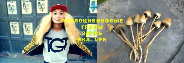 Альфа ПВП Беломорск